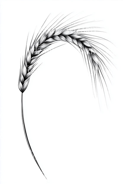Elegant Wheat Ear Tattoo Design