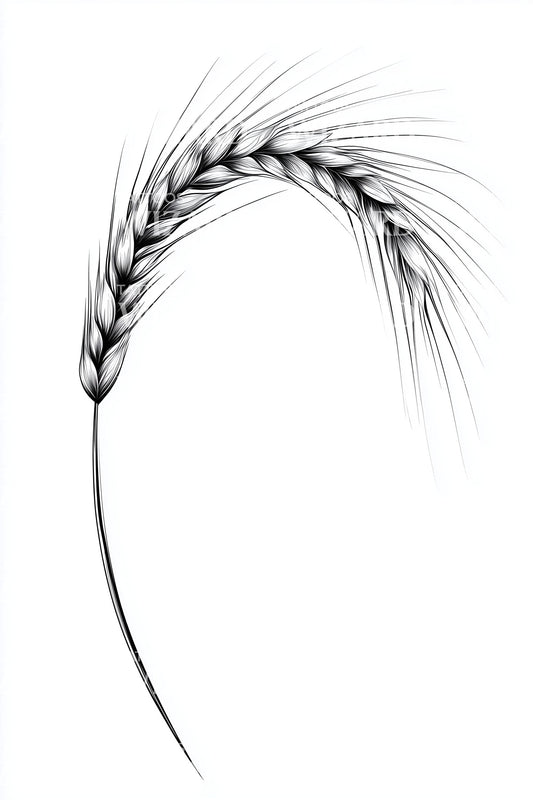 Elegant Wheat Ear Tattoo Design