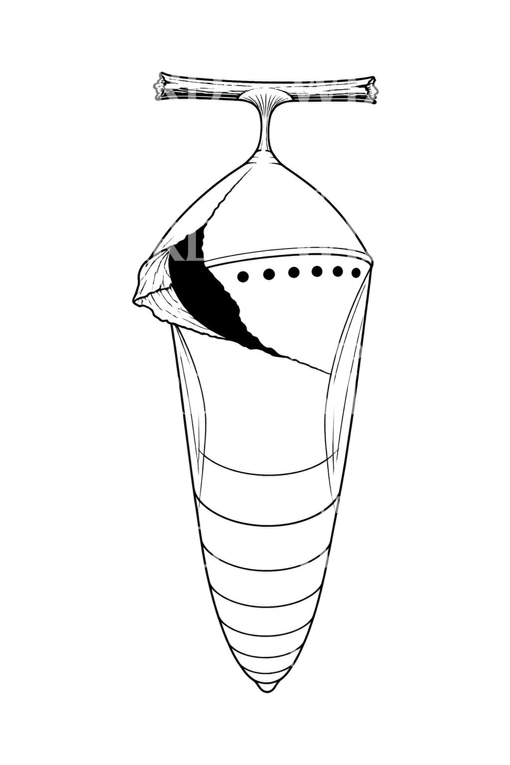 Tattoo-ontwerp van een lege pophuid