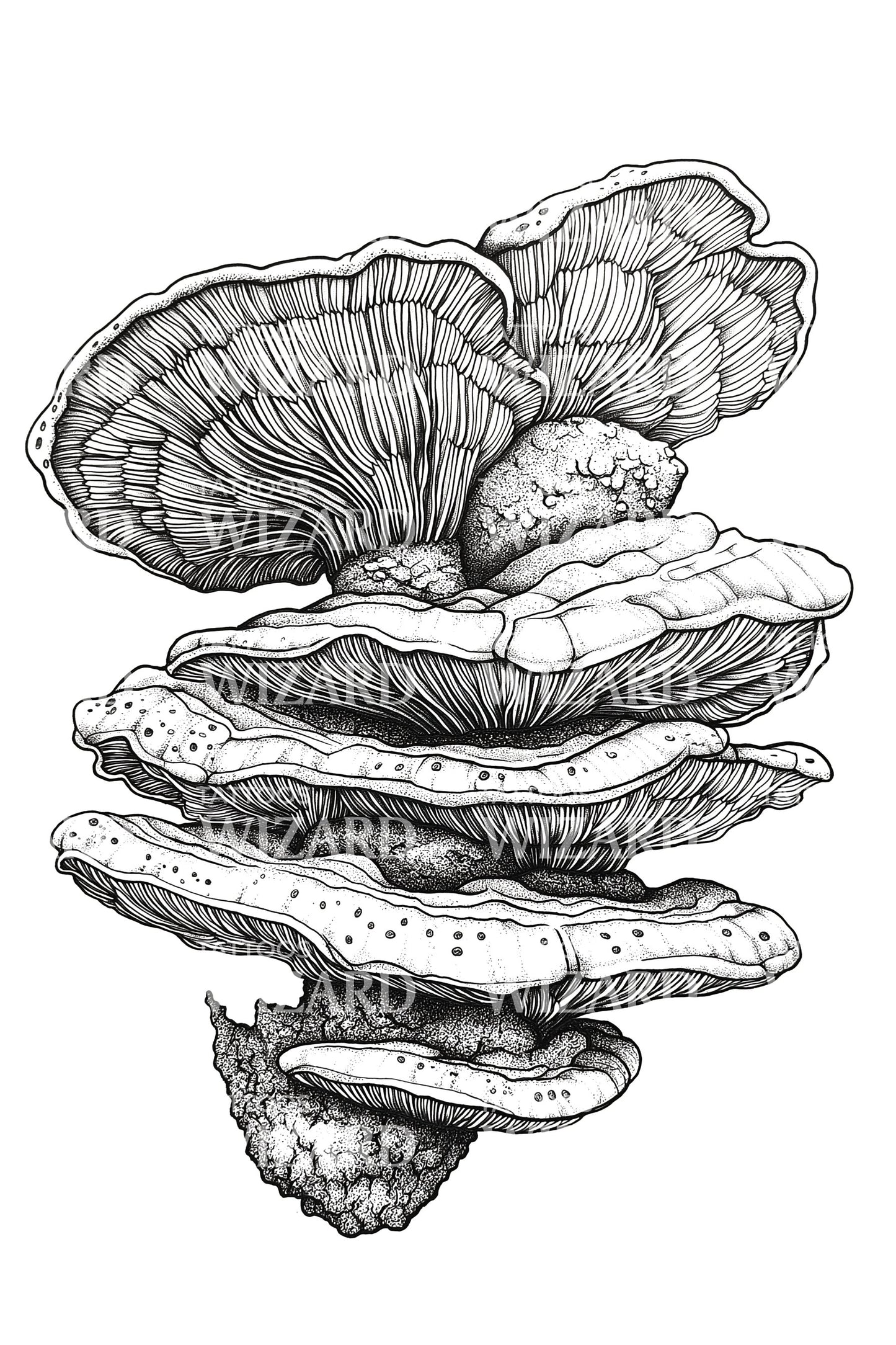 Etched Oyster Mushrooms Tattoo Design