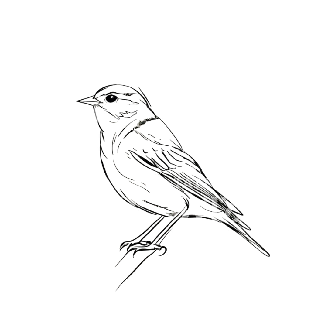 Conception de tatouage minimaliste petit oiseau de printemps
