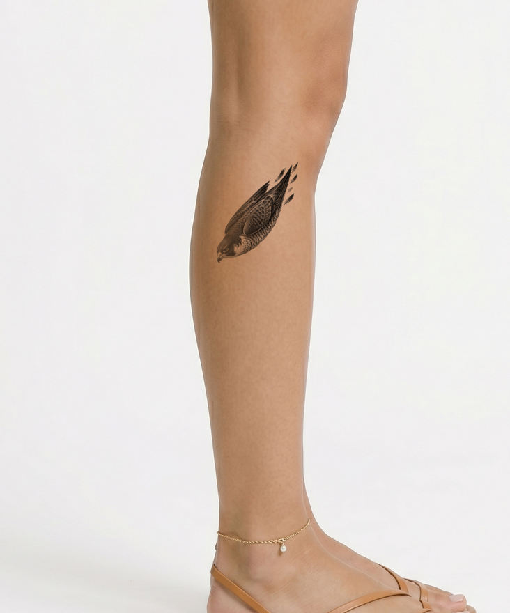 Peregrine Falcon Dive Tattoo Illustration