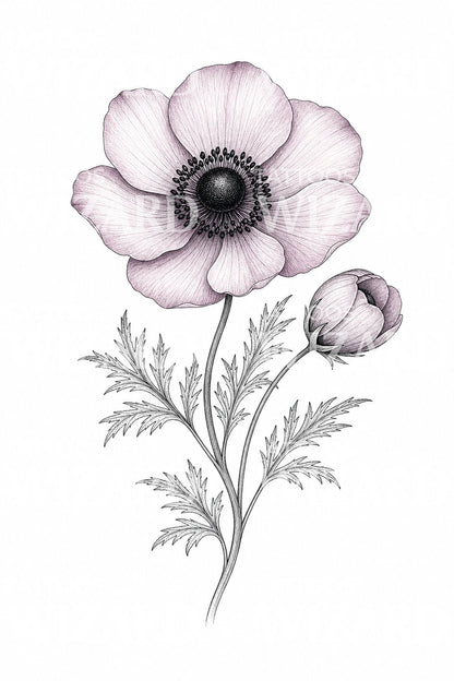 Fine Line Anemone Tattoo Design