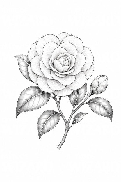 Fine Line Tattoo-Illustration einer Kamelie