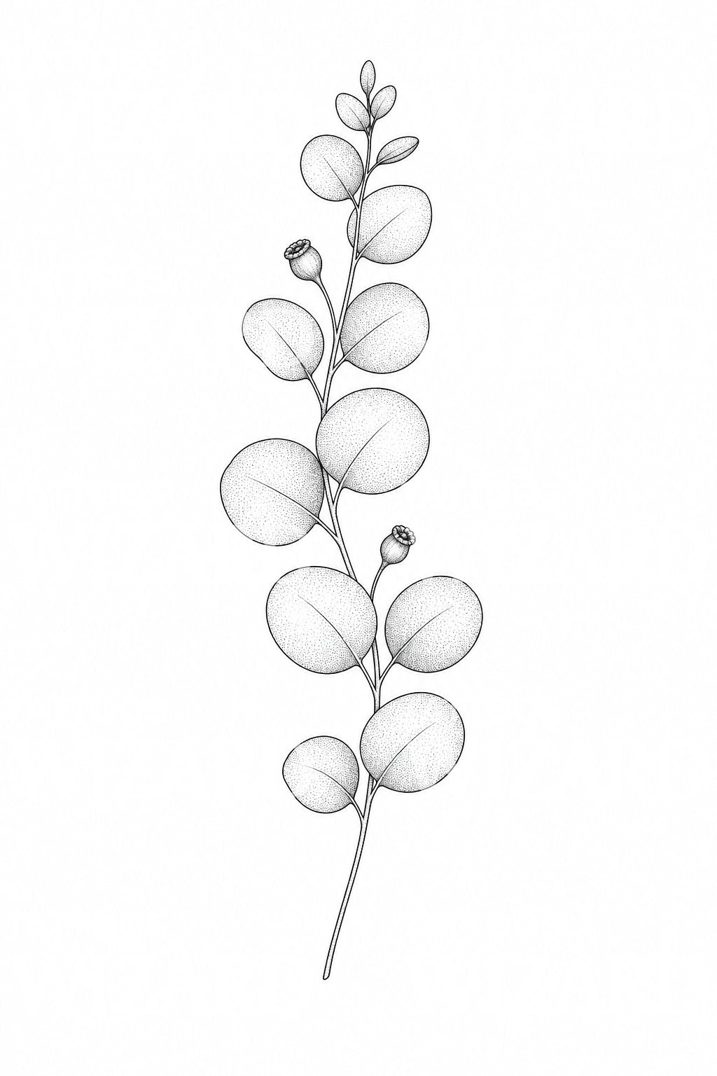 Fine Line Eucalyptus Tattoo Design