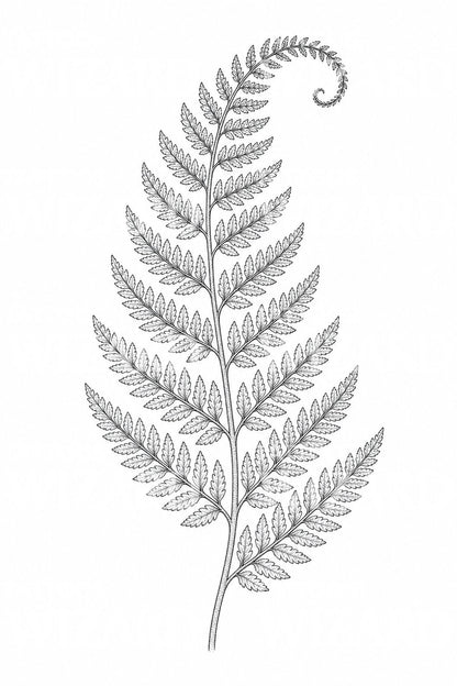 Fine Line Fern Frond Tattoo Idea