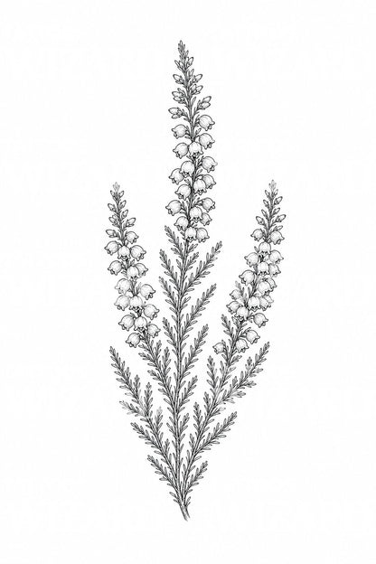 Fine Line Heather Tattoo Design