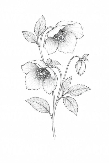 Fine Line Hellebore Tattoo Idea
