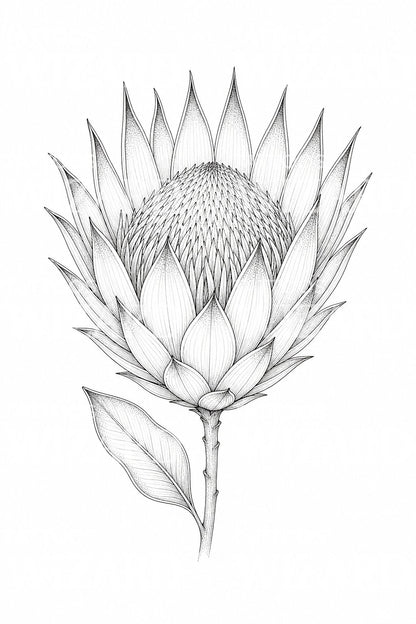 Desenho de tatuagem de prótea-real em linha fina