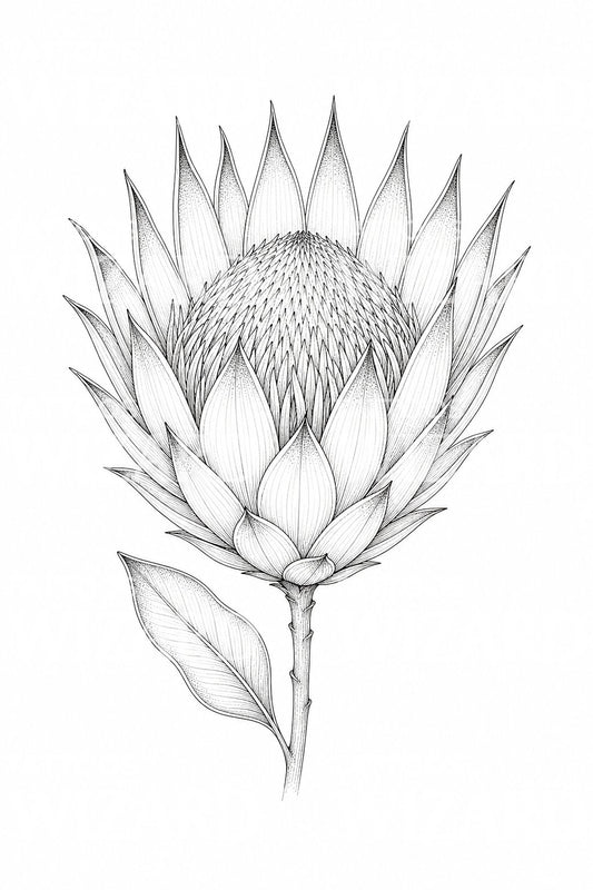 Fine-Line-Tattoo-Design mit Königsprotea