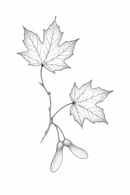 Fine Line Maple Leaf Tattoo Design