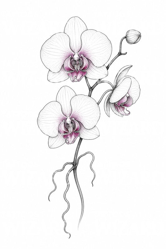 Design de tatouage orchidée en fineline