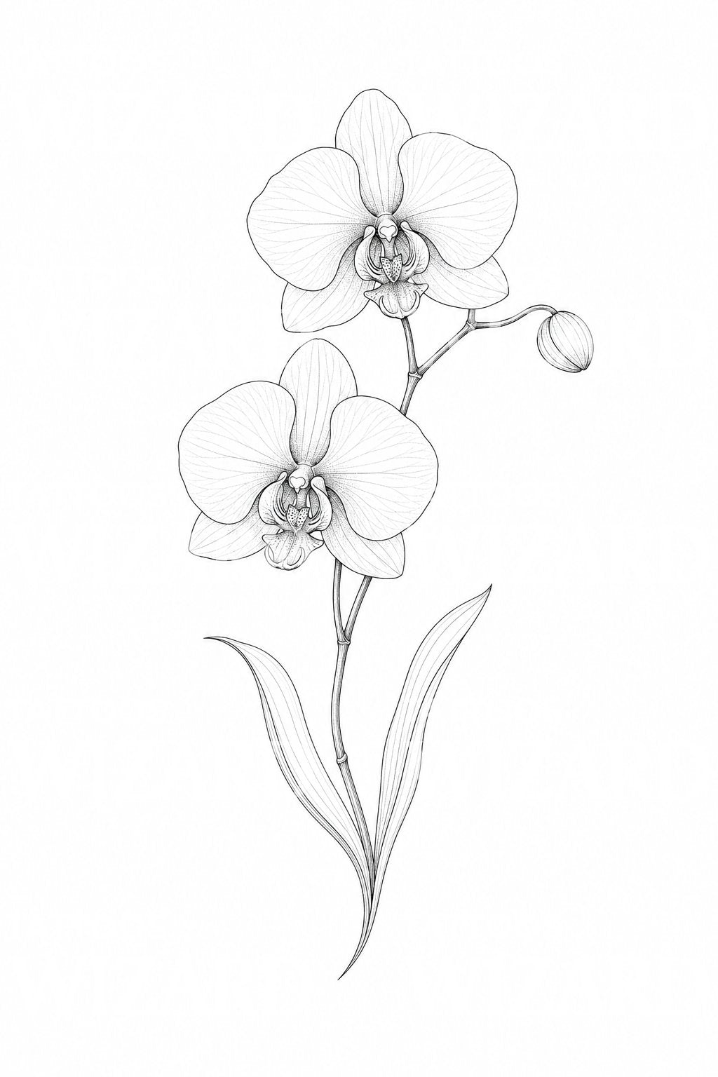 Fine Line Orchid Tattoo Design