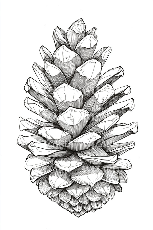 Fine Line Pinecone Tattoo Idea
