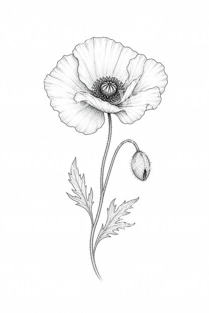 Fine Line Poppy Tattoo Illustration