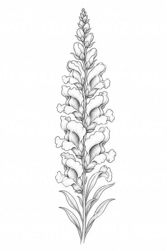 Fine line tattoo-illustratie van leeuwenbek