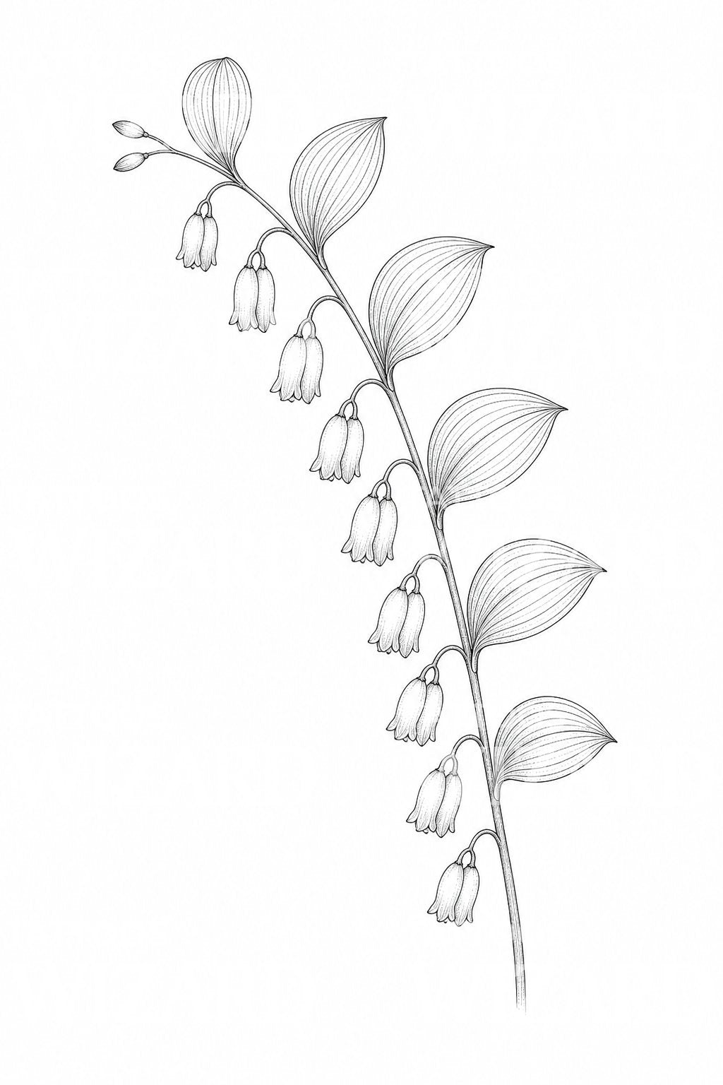 Fine-line-tattoo-ontwerp van het Zegel van Salomo