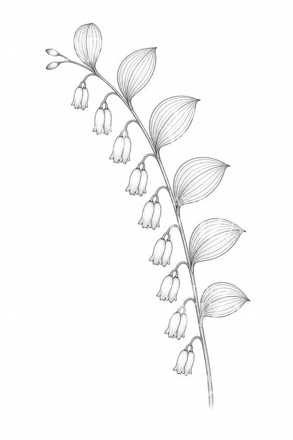 Fine-line-tattoo-ontwerp van het Zegel van Salomo