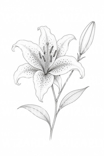 Fine Line Stargazer Lily Tattoo Idea