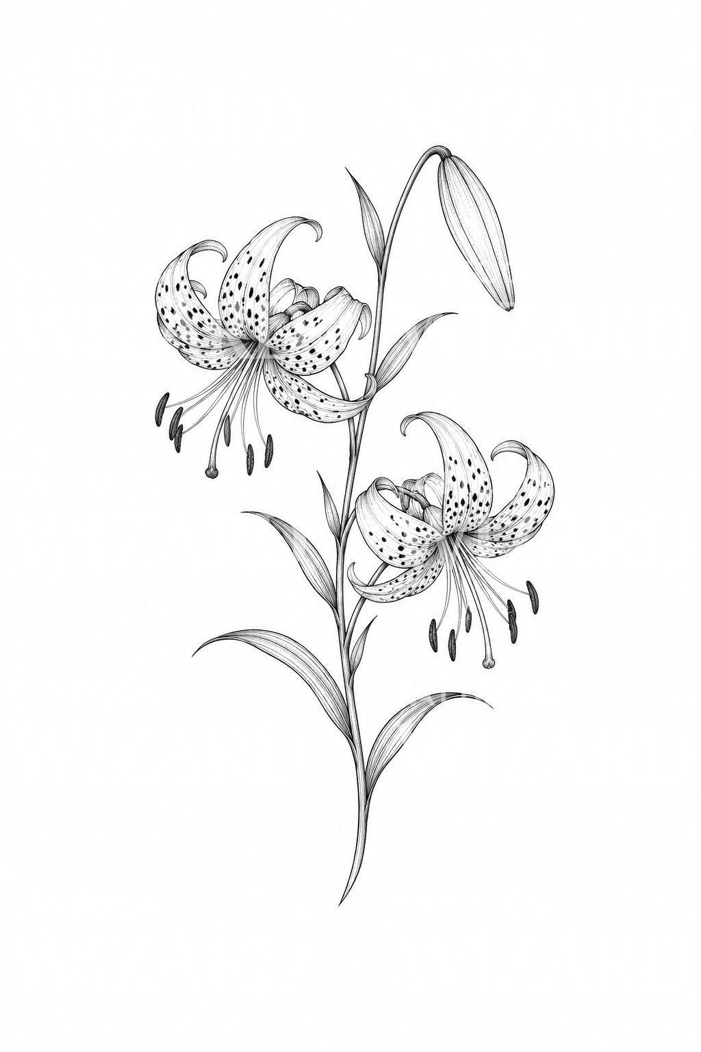 Fine-Line-Tattoo mit Tigerlilien-Stiel
