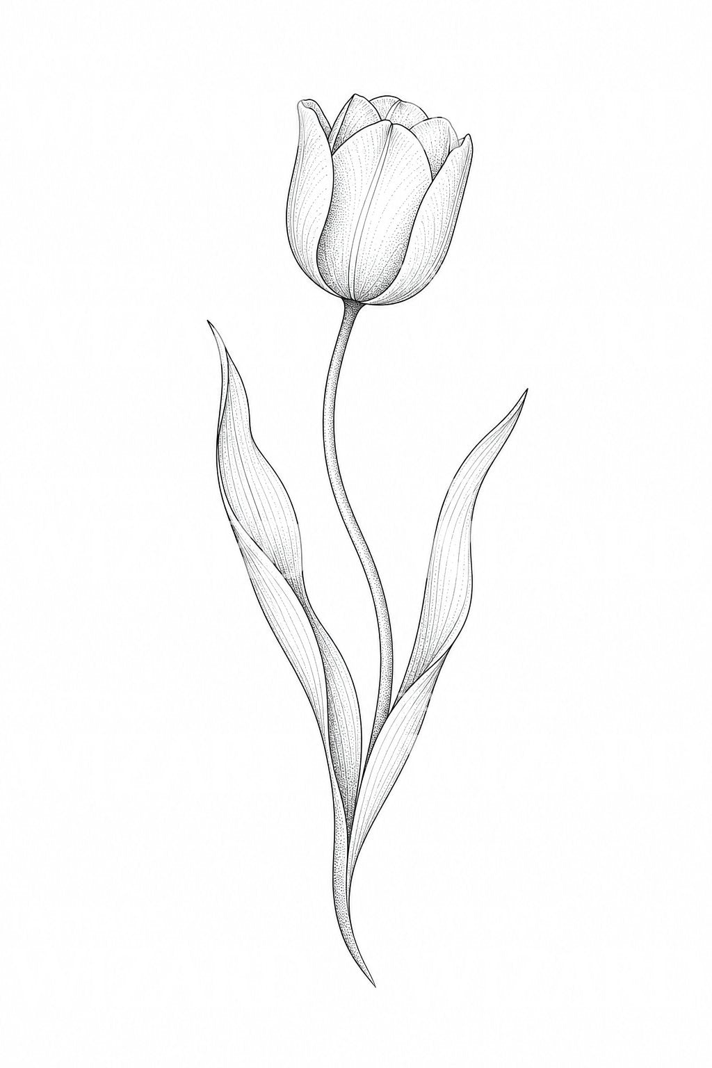 Fine Line Tulip Tattoo Design