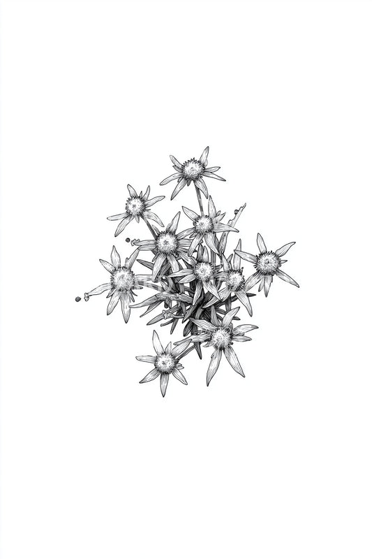 Floating Wildflower Cluster Tattoo Idea