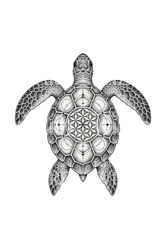 Flower of Life Shell Turtle Tattoo Illustration