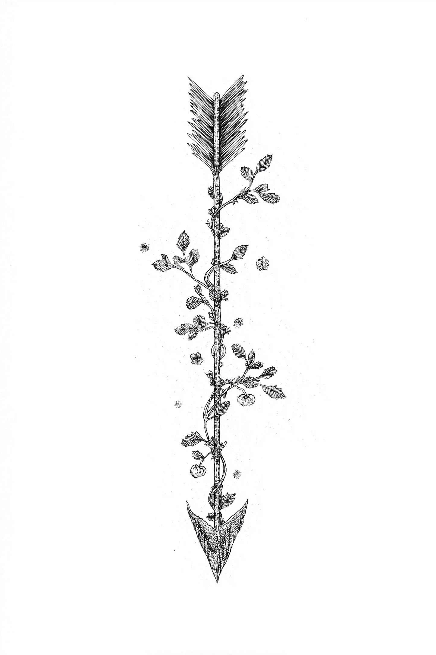 Forest Sprig Arrow Tattoo Design
