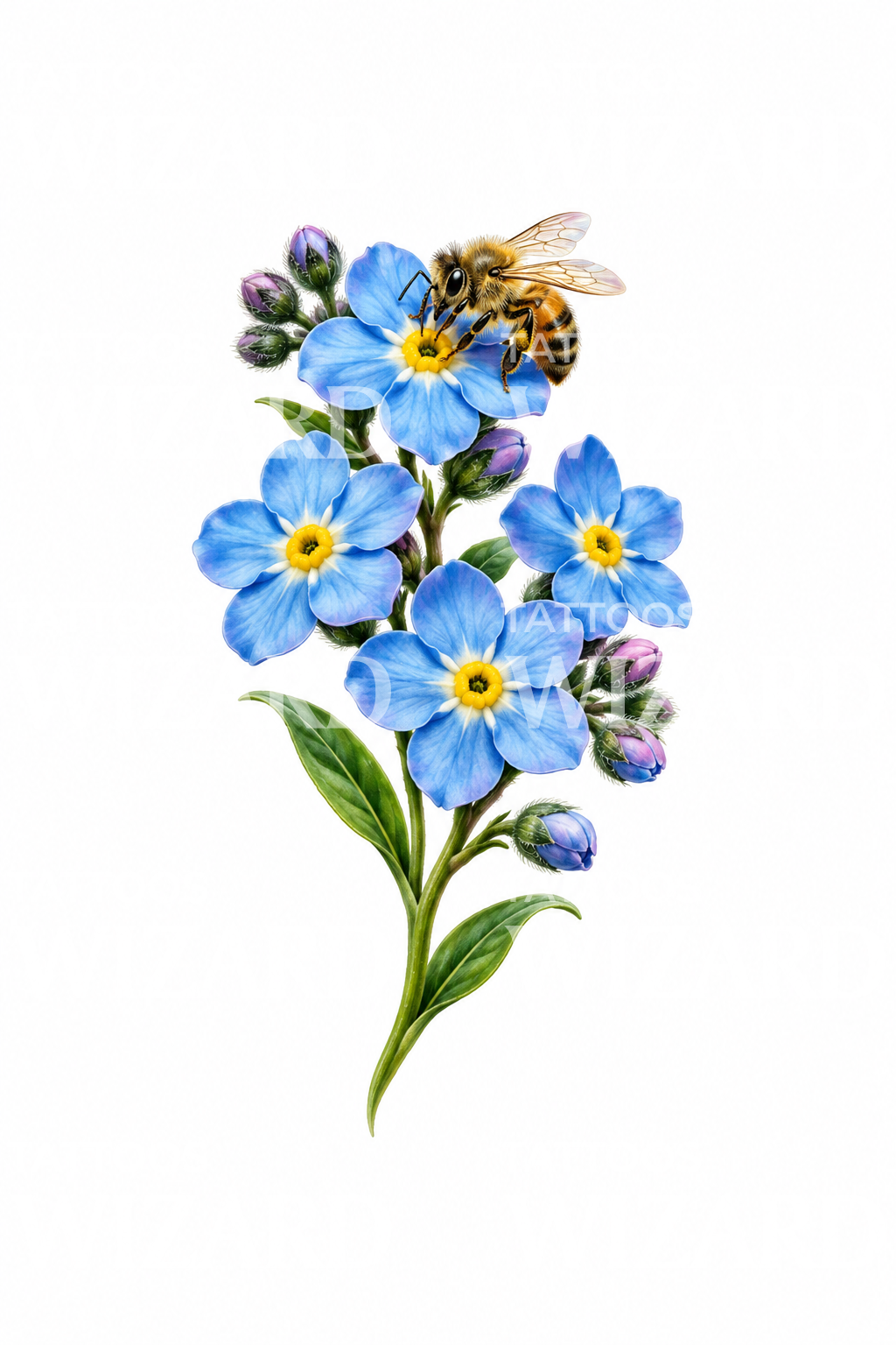 Myosotis avec abeille, dessin de tatouage