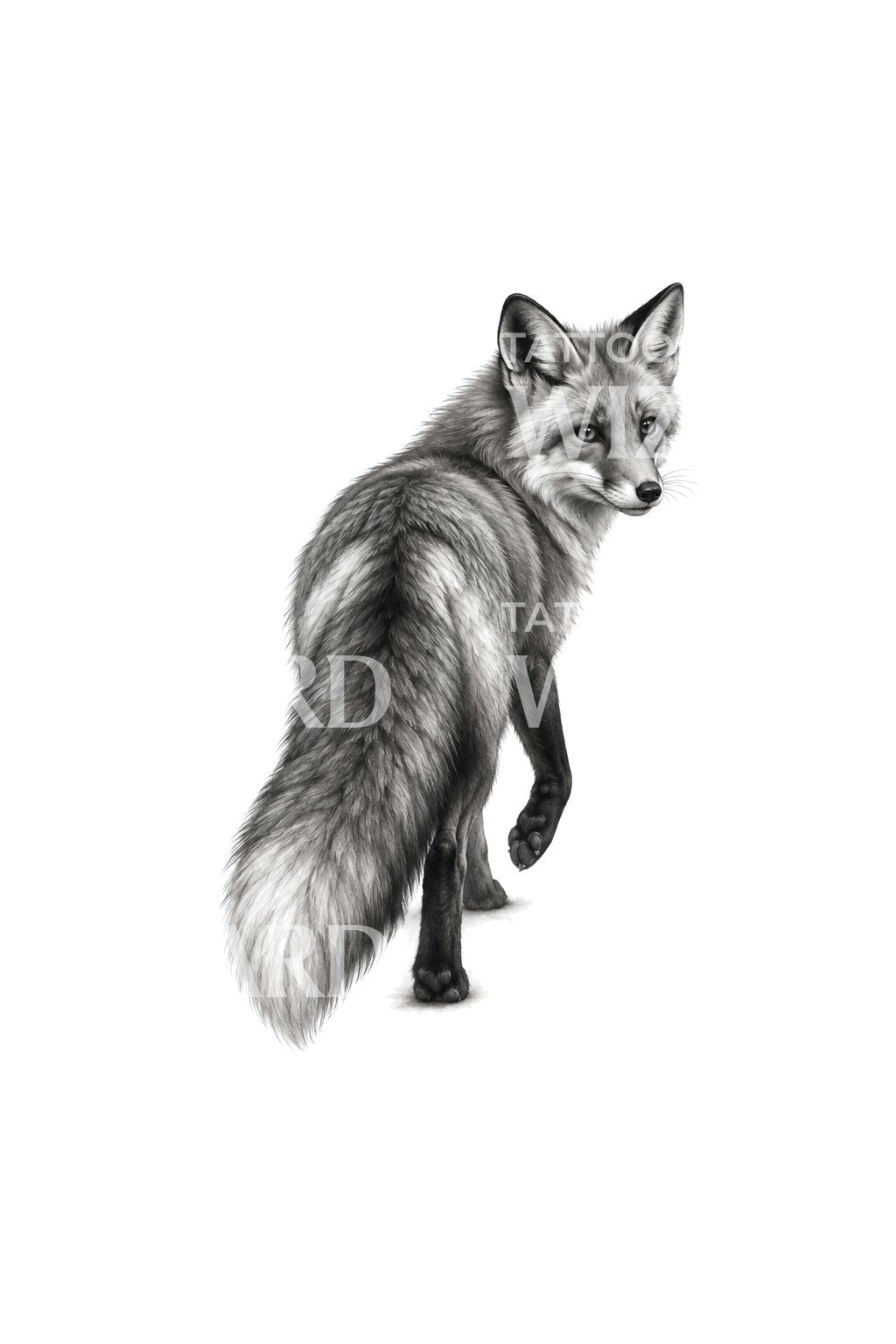 Illustration de tatouage d’un renard regardant par-dessus son épaule