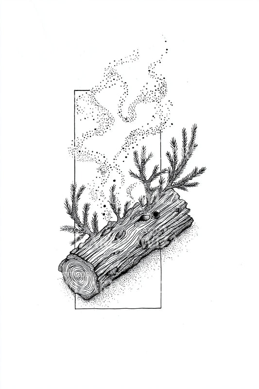 Framed Winter Log Branch Tattoo Illustration