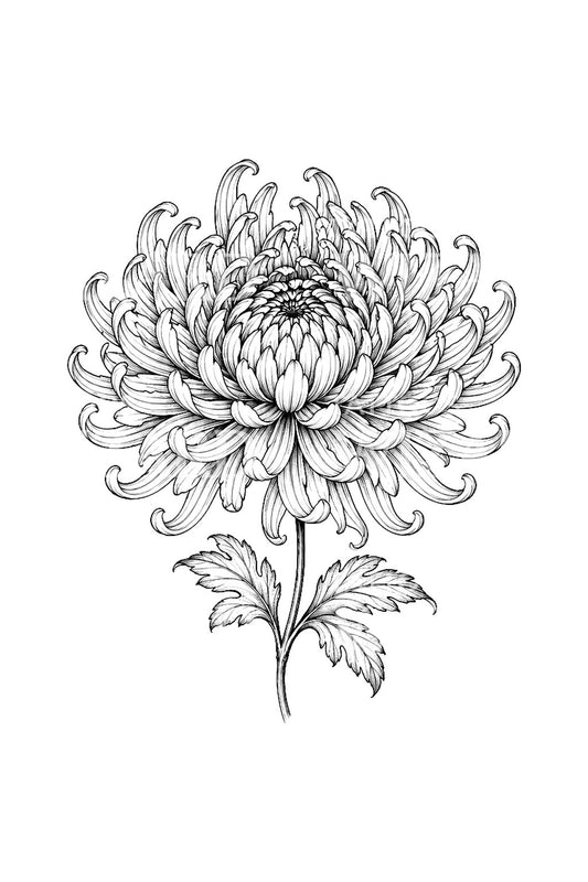 Chrysantheme in voller Blüte, Fine-Line-Tattoo
