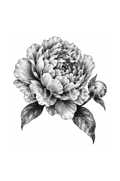 Full Layered Peony With Bud Tattoo Design