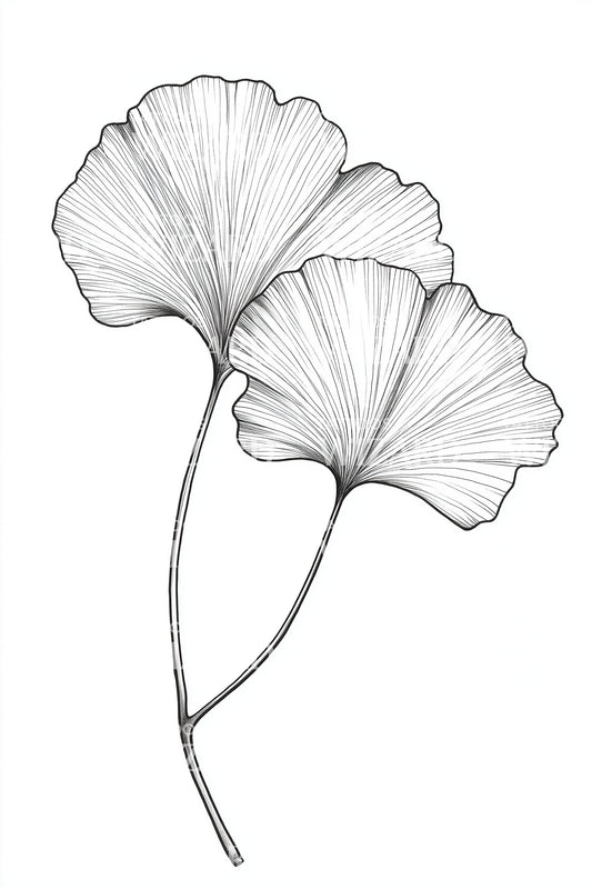 Ginkgo Biloba Leaves Tattoo Design