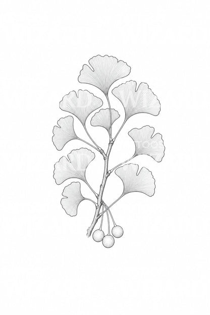 Ginkgo Branch Fan Leaves Tattoo Design