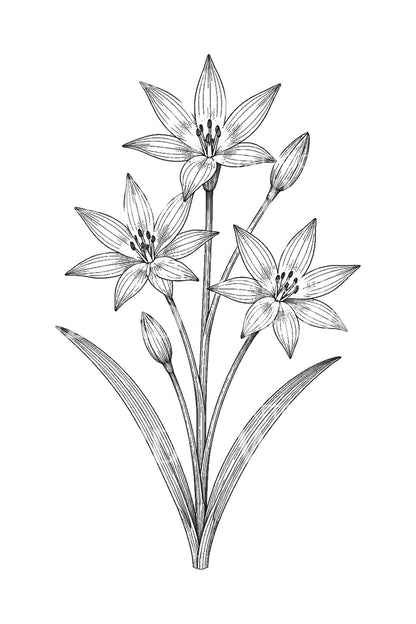 Tattoo-ontwerp van Glory of the Snow