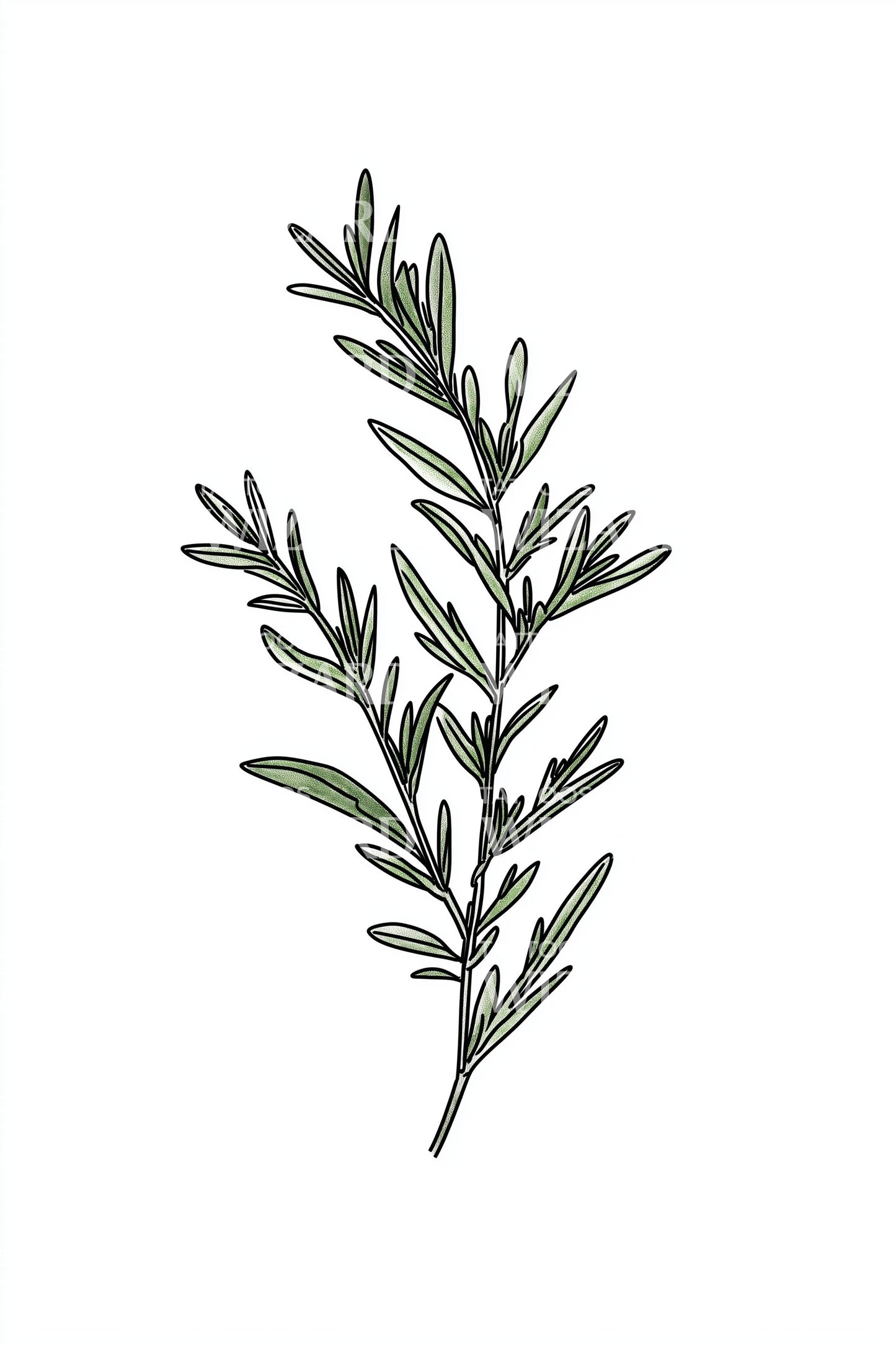 Green Rosemary Branch Tattoo Design