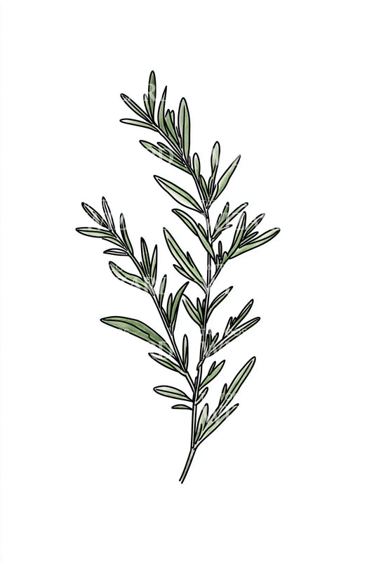 Green Rosemary Branch Tattoo Design
