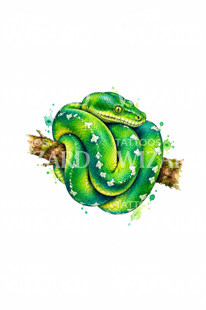 Green Tree Python Watercolor Tattoo