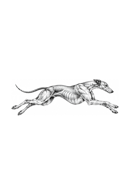 Greyhound dalam Sprint Penuh, Tato Dotwork