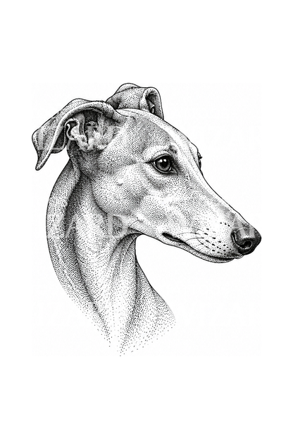 Dotwork-tattooontwerp van een greyhound in profiel