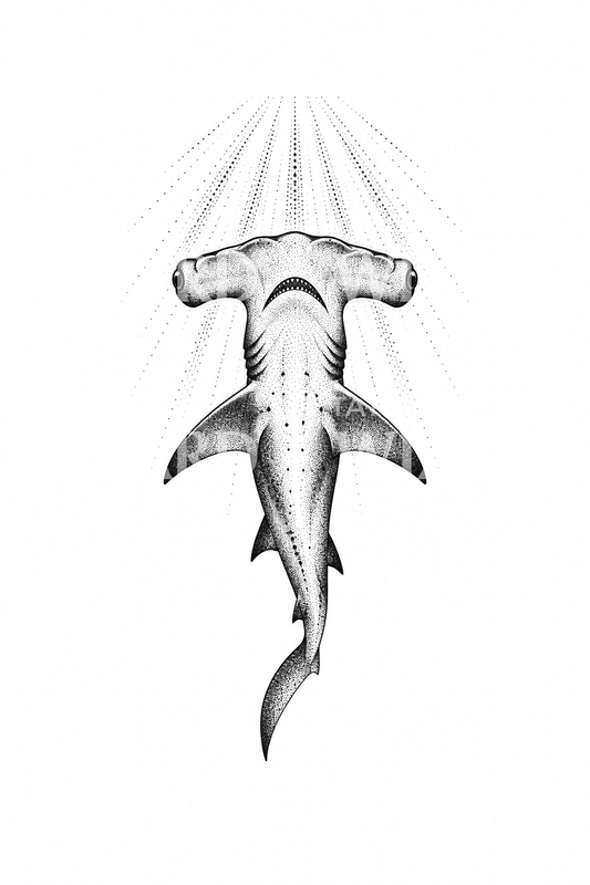 Hammerhead Shark from Below with Light Rays Dotwork Tattoo