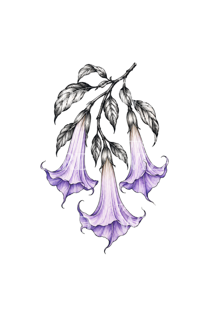 Skisstatuering av hängande änglatrumpet, Brugmansia