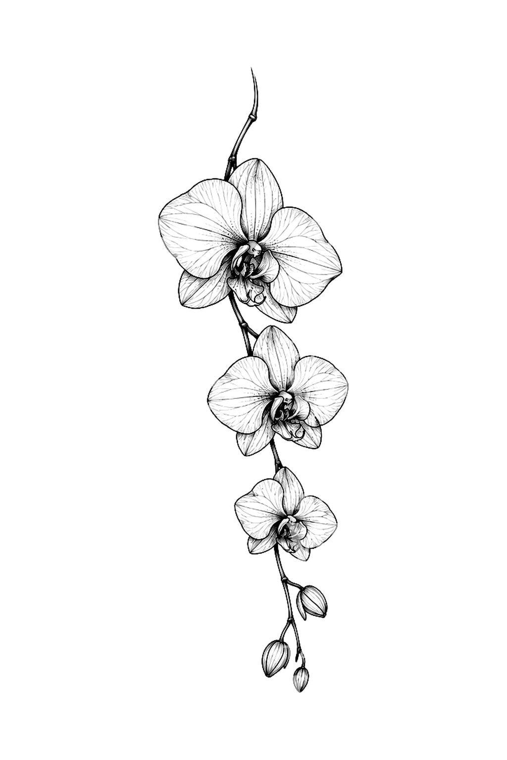 Tatuaggio di orchidea pendente in fine line
