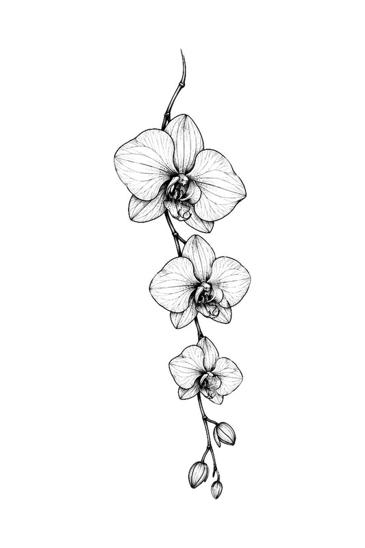 Tatuaggio di orchidea pendente in fine line