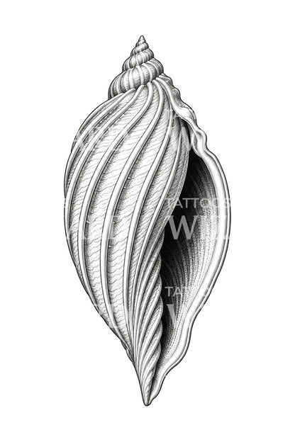Desain Tato Cangkang Harpa dengan Rusuk Beralur
