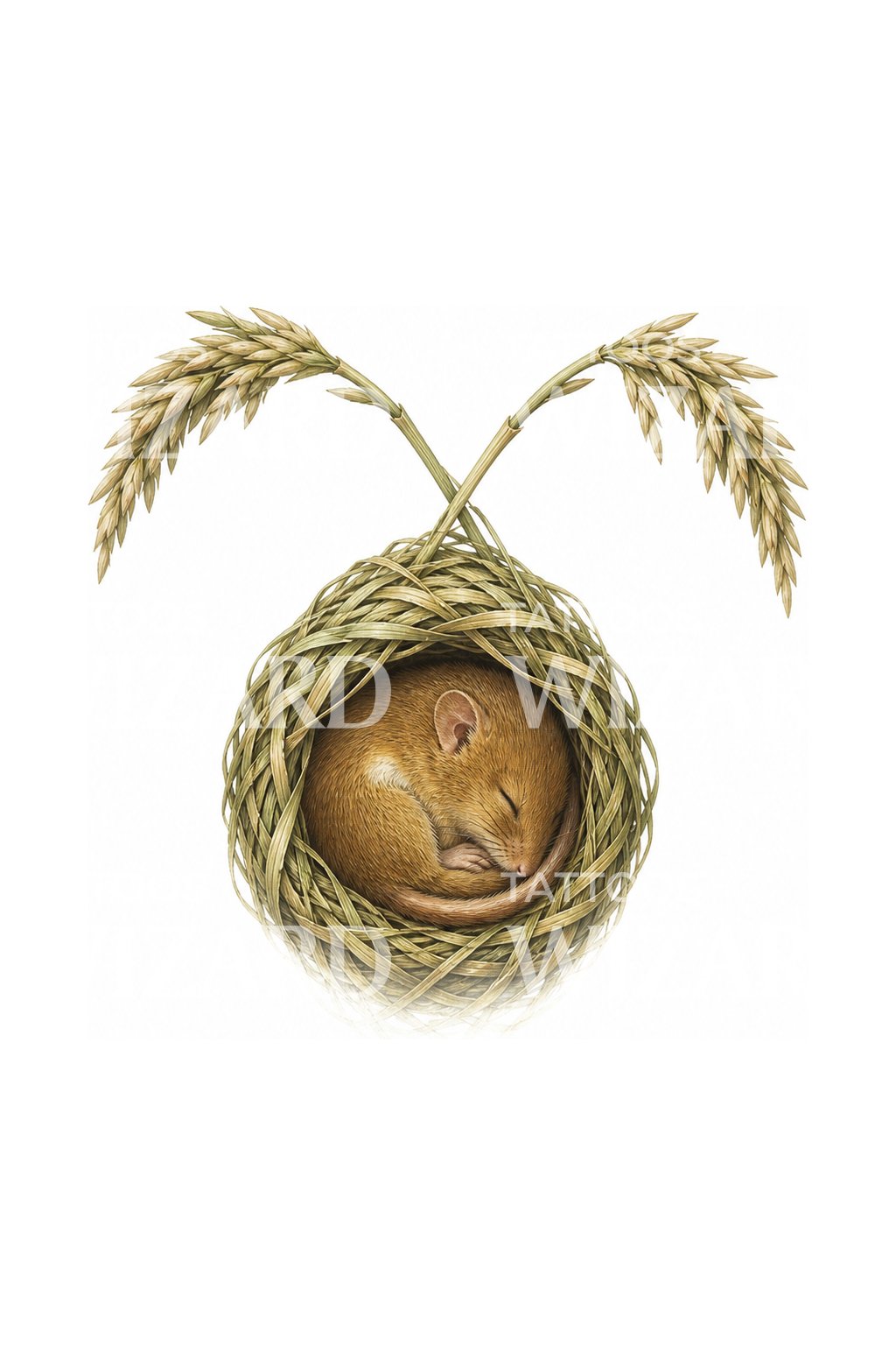 Ratón de campo dormido en un nido, diseño para tatuaje