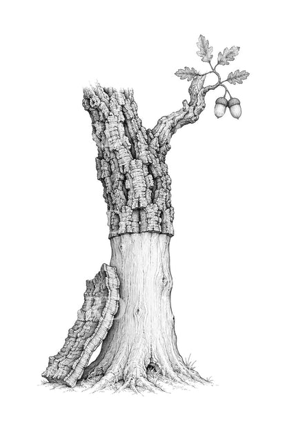Tattoo-Design eines geernteten Korkeichenstamms
