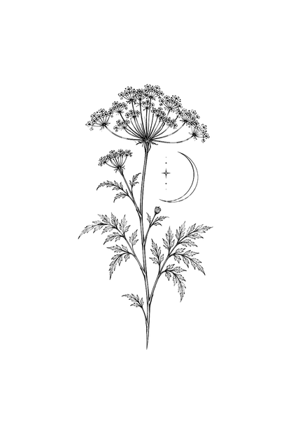 Schermbloem van gevlekte scheerling met wassende maan, fine line-tatoeage