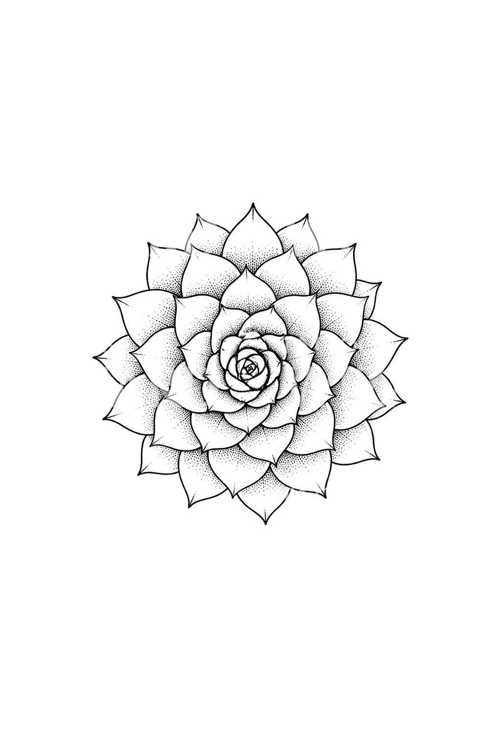 Kövirózsa-rozetta dotwork tetoválásminta